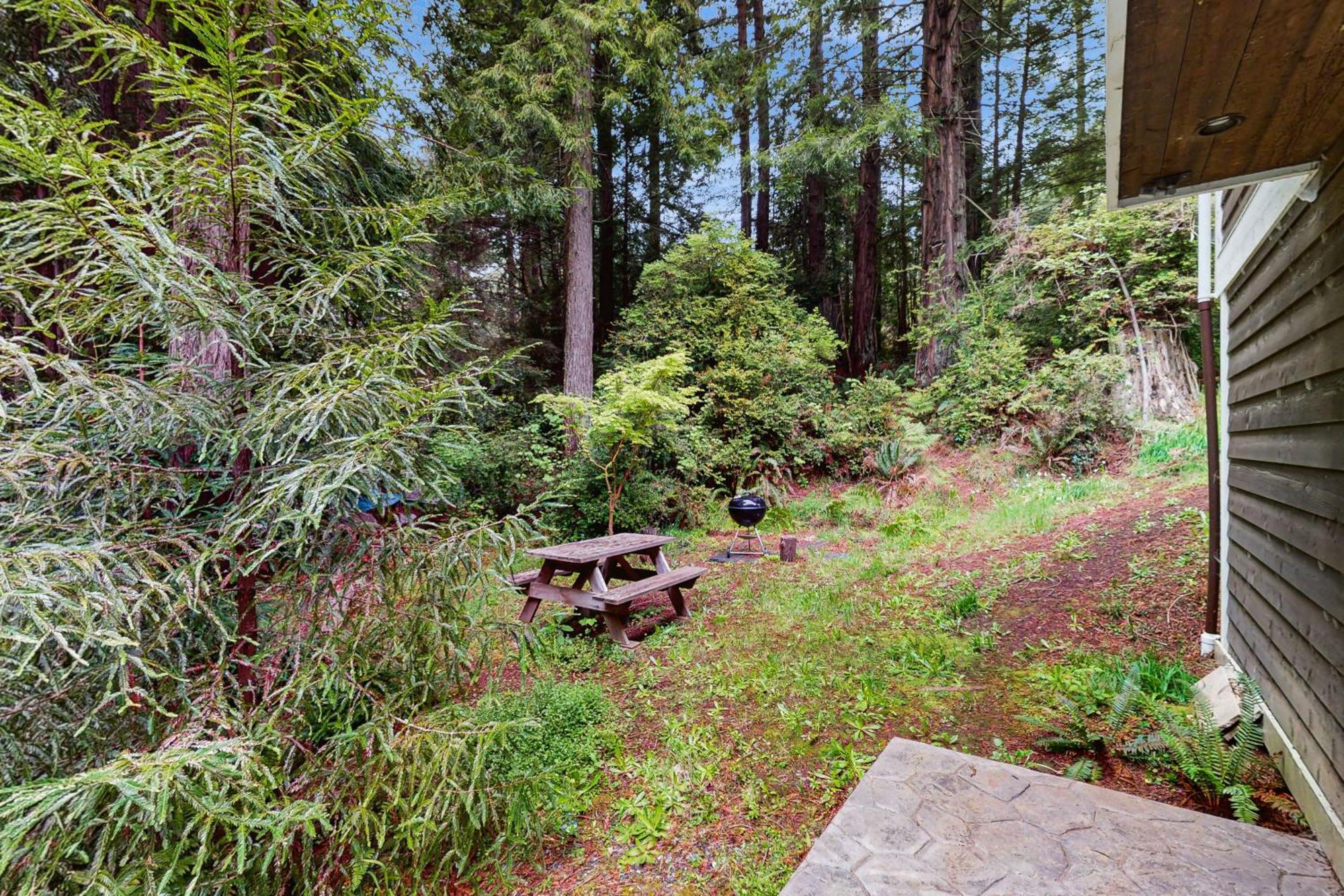 Serene Redwood Retreat Arcata Bagian luar foto