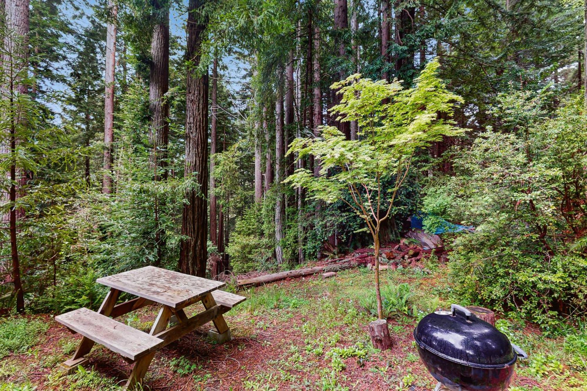 Serene Redwood Retreat Arcata Bagian luar foto