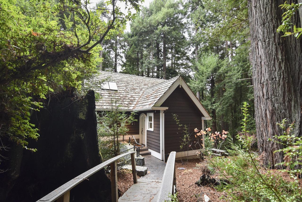Serene Redwood Retreat Arcata Bagian luar foto