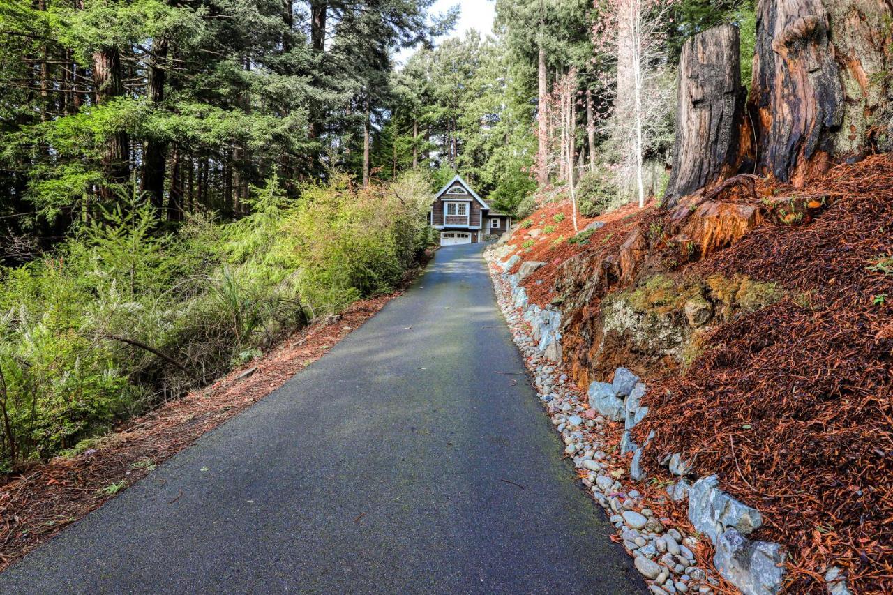 Serene Redwood Retreat Arcata Bagian luar foto